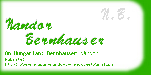 nandor bernhauser business card
